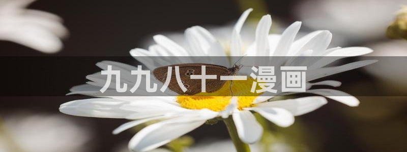 汗汗虫虫漫画