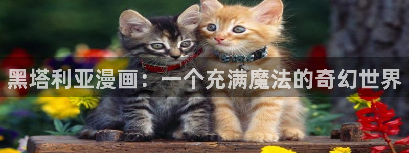 虫虫漫画 韩