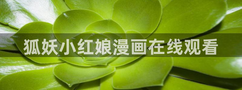 虫虫寄生漫画免费阅读下拉式六漫画