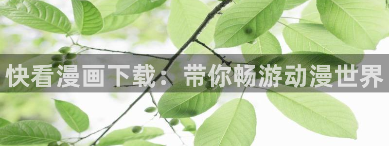 虫虫漫画破解版nba