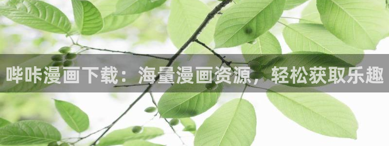 .虫虫漫画