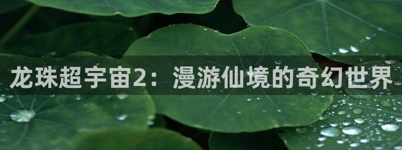 虫虫漫画怎么下载